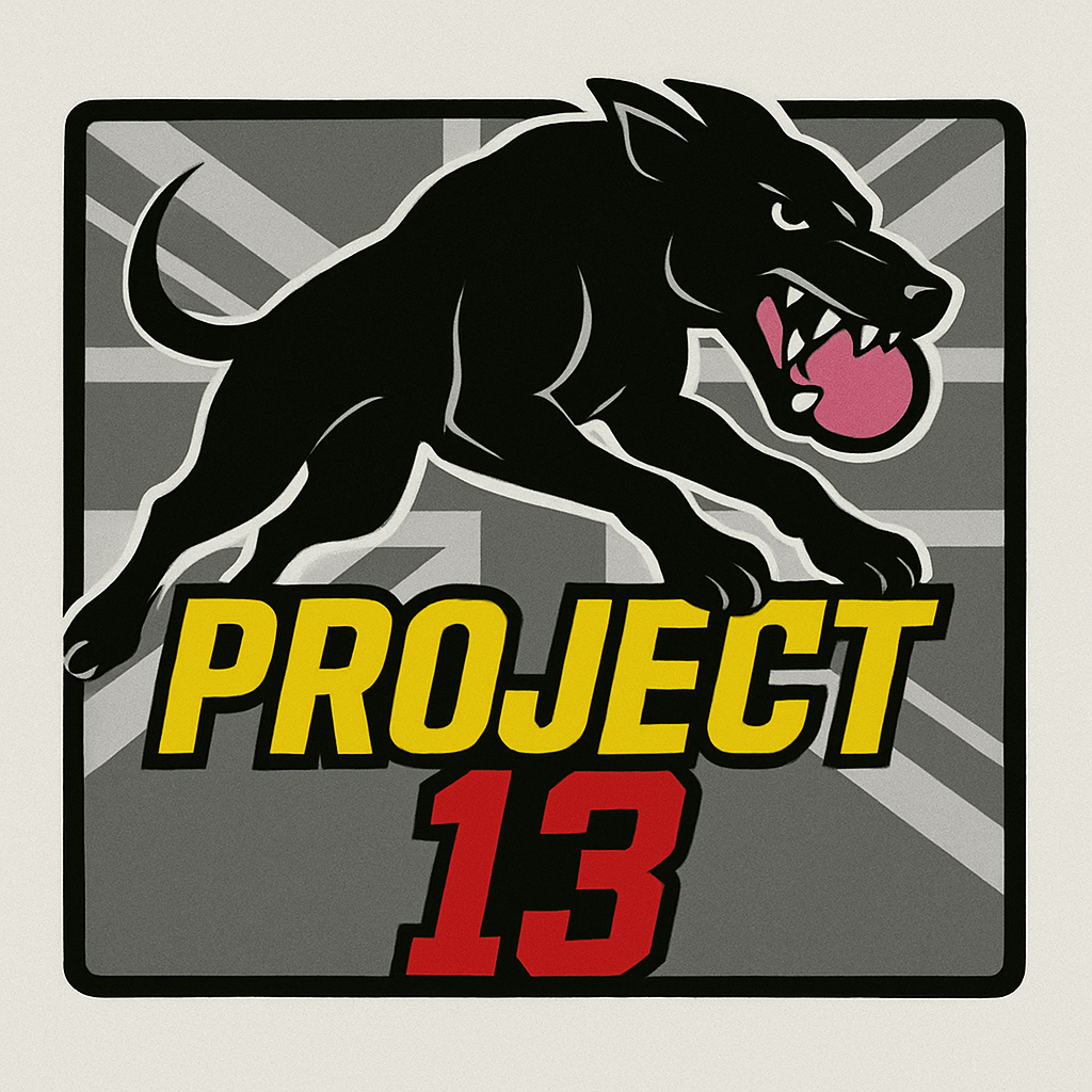 Ring 3 Logo